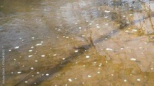 Tilt down river water Coosawatte River Ellijay Georgia 4k