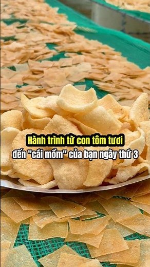 Hành trình từ con tôm tươi đến "cái mồm của bạn" ngày 3 #reels #banhphongtom #anhthaimientay