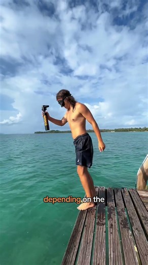 Right Tool, Right Moment