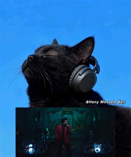 Save Your Tears ~ The Weeknd | Hany Mostafa Özil