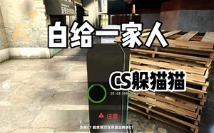 为什么都藏这！躲猫猫_哔哩哔哩bilibili_CSGO