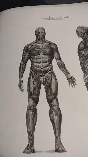 Alien Covenant : David's Drawings. The Engineers