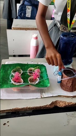 smart agriculture farming project , science working model , smart farming projects ,water management