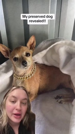 Imagine seeing an unboxing of a preserved human and it living in your house 😭 #preserveddog #preservedbody #fyp #uncannyvalley