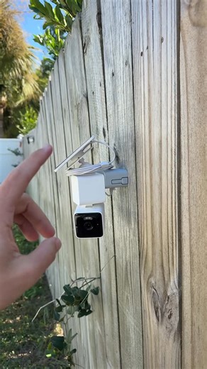 PawsTails on Instagram: "#fyp"