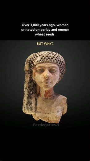 The Ancient Egyptian Pregnancy Test That Actually Worked #history #ancientegypt #ancientmedicine