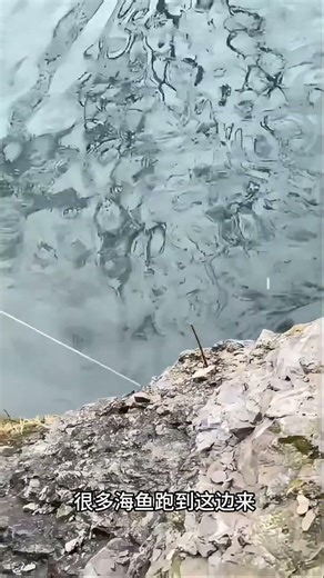 Unleash the Power of a Casting Net – How Many Fish Can You Land