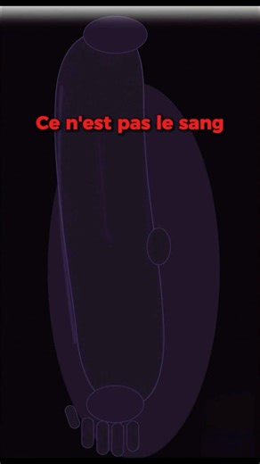 Ton bras s’endort? Ce n’est PAS le sang