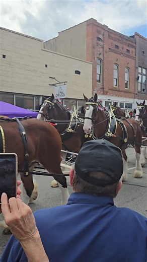 422 reactions · 52 shares | Clydesdale Horses in Jonesboro AR | Michael Jackson | Facebook