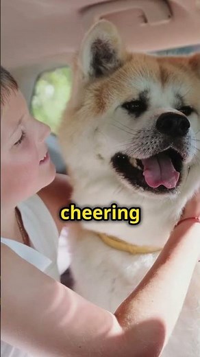 Dog Drives a Car – The Funniest Video Online! ❤