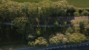 Man, Cycling, Bike. Free Stock Video