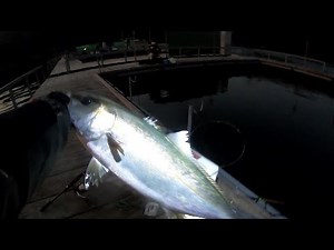 色々やろうぜ！冬の海上釣堀【辨屋小桝貸し切り6号2025年1月31日】