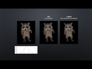 AI Holographic Imager (26): Sparse Convolution