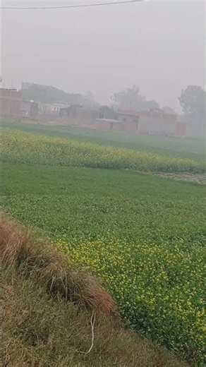 Ya 🌹 Allah #viralvideo #shortvideo