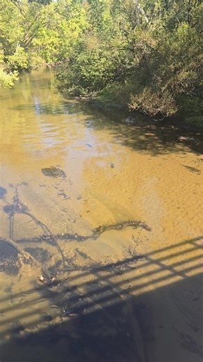 They are on the move | Matthew Cox