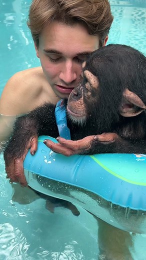 Angada testing out the new water toy #animals #monkey #chimp @mokshabybee