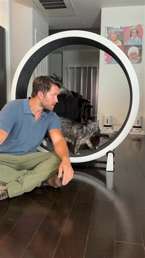 This cat can’t get enough of her Cat Exercise Wheel! 🐾 ✔️ Promotes physical activity ✔️ Reduces stress & boredom ✔️ Easy to clean and maintain ✔️ Great for cats of all sizes Help your cat stay active and curious even indoors! #onefastcat #catwheel #catexercisewheel #cathealth #catzoomies #cats | One Fast Cat