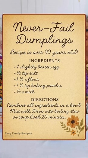 This dumpling recipe is over 90 years old—passed down from my great-grandmother’s handwritten notes. 👉👉 Soft, pillowy, and cooked right on top of stew… it never fails. 🍲📌 Save this one—it’s a piece of kitchen history! Recipe of the Day #FamilyFavorites #easydinner #OldSchool | Easy Family Recipes