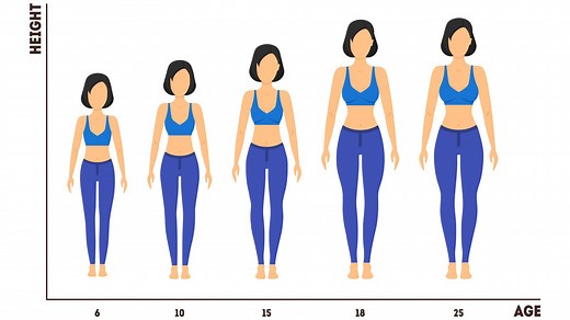 30歳から身長は縮む！？加齢とともに「身長低下」になる4つの原因と対策 | ヨガジャーナルオンライン