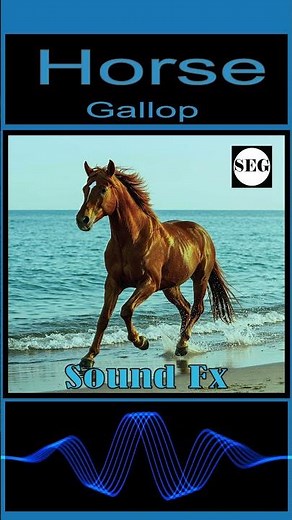 Horse Gallop Sound Fx