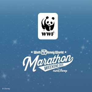 Run around the World to protect our world! Help protect and preserve our planet's natural magic and sign up for Walt Disney World® Marathon Weekend with WWF now. | World Wildlife Fund