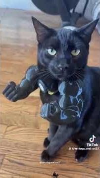 Stole This Cus I Wanted To Post. || ‪@9xvcb‬ ily!