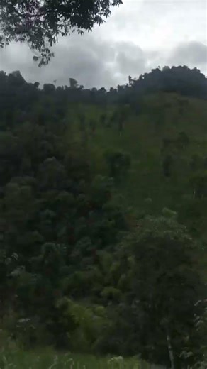 im too lazy #travellife #mule #siblingcheck #foryou #fyp #Shorts #giaaldisert