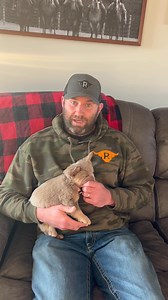 170K views · 6.7K reactions | Controversial pets/ livestock #hatershate | Pandarosa Miniature Ranch | Facebook