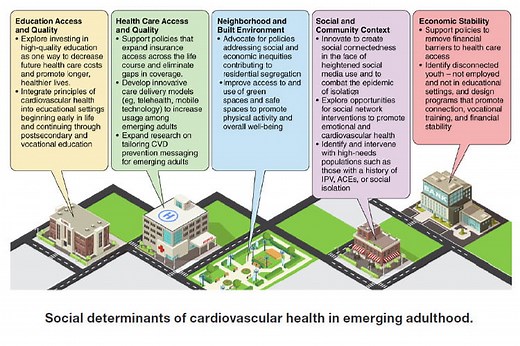 Cardiovascular Health in the Transition From Adolescence to Emerging Adulthood