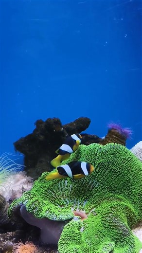 🏃🏻Oneday trip ep-2 || Mini aesthetic world || @Doodle_explores26 ||