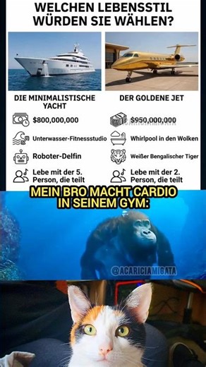 Ich wähle das BASED Leben 🛥️🛩️