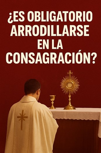 🔥 Muchos se preguntan: ¿es obligatorio arrodillarse en la consagración? Algunos lo hacen, otros no… pero la Iglesia sí nos da una respuesta clara. #cristo #bibliasagrada #catolicos #papafrancisco #santidad #catolicismo #iglesia #iglesiacatolica #catolicosdelmundo #evangelizar #católica #catolicosoy #catolicosporamor #jovenescatolicos #fecatolica #juventudcatolica | P Melson Andres Correa