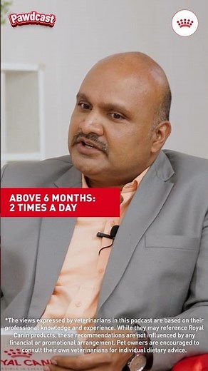 How Much Should You Feed Your Puppy? | Vet Tips