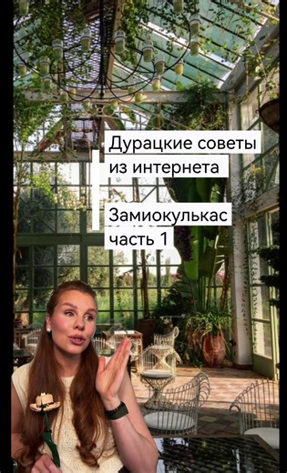 Советы по уходу за замиокулькасом: что важно знать