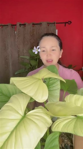 อรวรรณ บัวหลวง บน TikTok