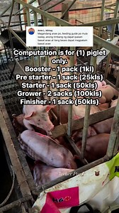317K views · 2.1K reactions | Simple DIY Feeding guide from weaning period to harvest time!  #fbreelsfypシ゚viralシ #highlightseveryone #fypシ゚viralシ #followerseveryone #hograiserlife #feedingguide #weaning #finisher #harvesttime | Archer Pig Farm | Facebook