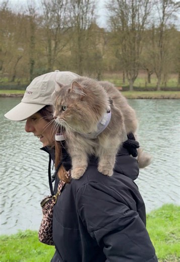 The Unbreakable Bond Between a Girl and Her Cat