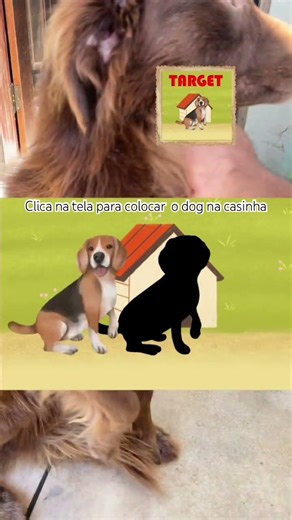 #tapstop #target #memes #funnydogs