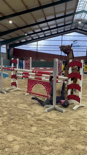 Dramatische Reitunfälle: Ein Blick auf Stürze im Pferdesport