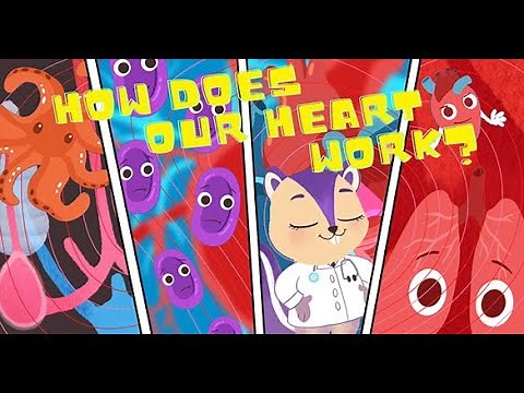 Biology | "How Does our Heart Work?" Explained | Human Body | Science For Kids