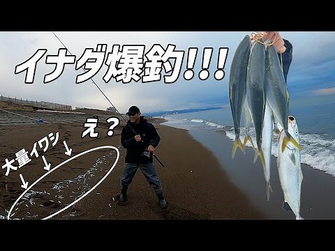 【ショアジギング】夢の青物祭り参戦!!イナダ大爆釣!!!