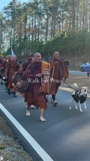 2,300 Mile Walk for Peace: A Transformative Journey