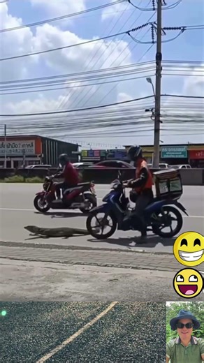 Em Kỳ Đà Băng Qua Đường An Toàn Nhờ Anh Shipper Tốt Bụng