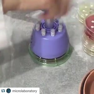 48K views · 2.3K reactions | Antibiograma. Más vídeos:https://youtu.be/T-LarDBWGL4 | Laboratorio Clínico | Facebook