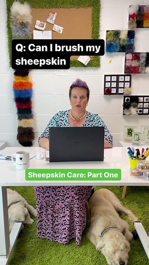 Is your sheepskin looking a little out of sorts? Look out for our sheepskin care series starting with the big question… Can you brush sheepskin? For more of care tips, head to our website. #cleaninghacks #sheepskin #sheepskinrug #homecleaninghacks | Baa Stool