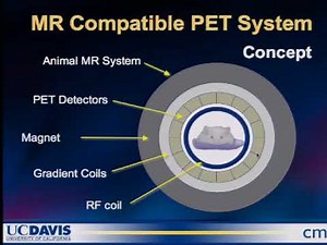 IMRI & Positron Emission Tomography: A New Tool for Biomedical Imaging?