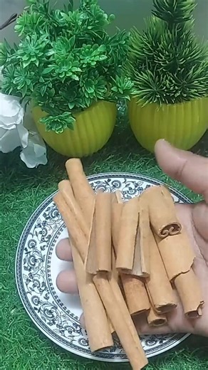 Dalchini ke fayde 😍 || Benefits of cinnamon by Rajiv Dixit Ji #shorts​ #viral​ #recipe​ #food​