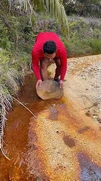 Searching for gold by manually mining in rivers 💰⛏️ #GoldMining #GoldRivers #gold #viral