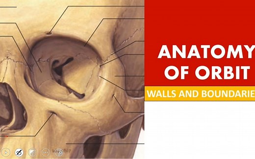 眼眶解剖|orbital anatomy made easy|bones of orbit|landmarks of orbit|clinical nugget