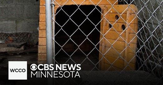 Dogs found dead on pet rescue property in southern Minnesota